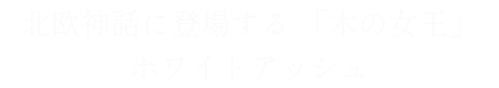 ブラックウォールナットロゴ